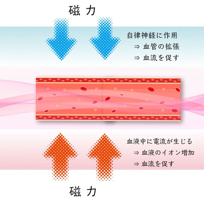 血行促進と自律神経を整える磁気健康センター森川